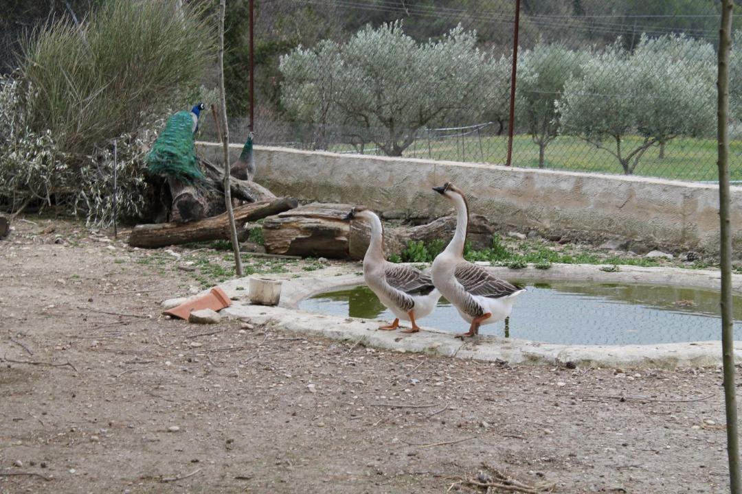 Photo of Others in Vinsobres