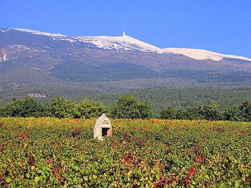 Photo of Outdoor in Bedoin