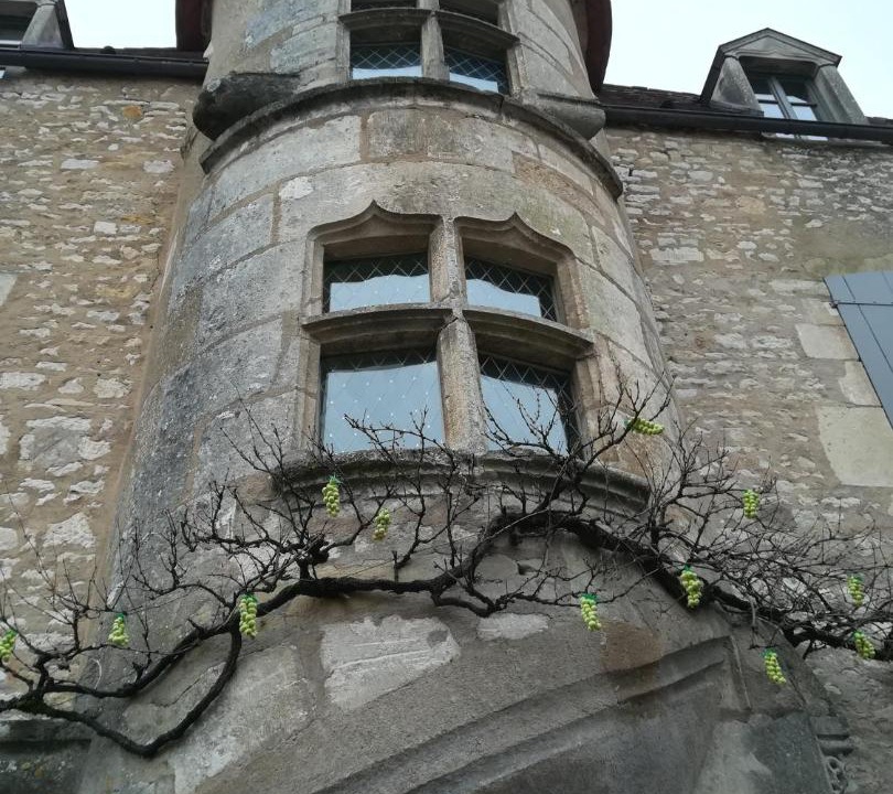 Photo of Others in Vezelay