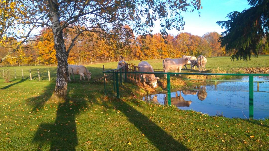 Photo of Others in Bruailles