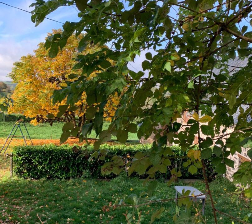 Photo of Outdoor in Marchastel