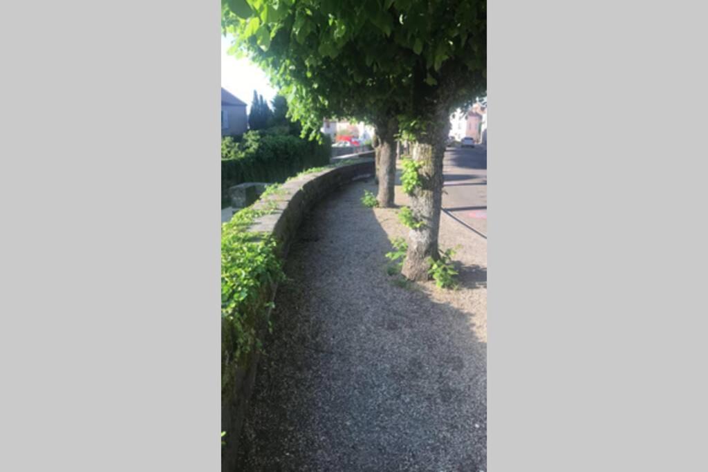 Photo of Others in Nuits-Saint-Georges