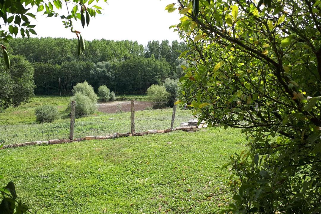 Photo of Others in Sens-sur-Seille
