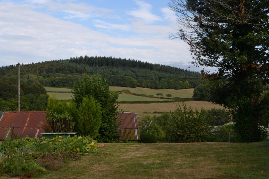 Photo of Others in Corancy