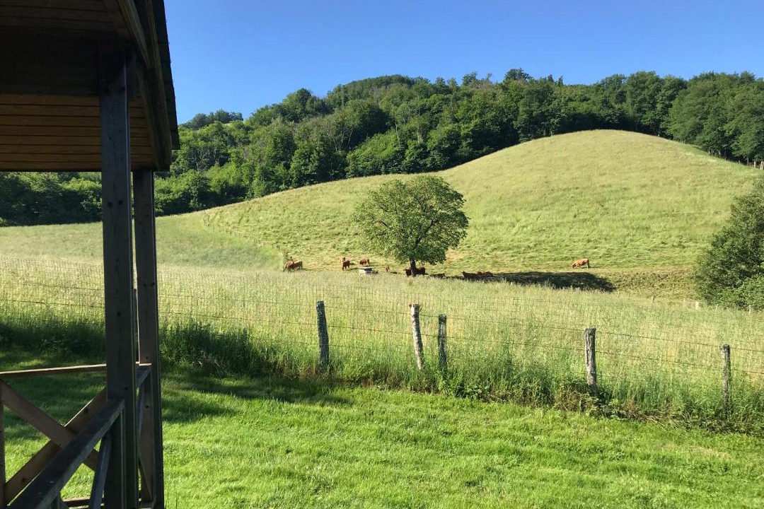 Photo of Outdoor in Sainte-Eulalie-d'Olt