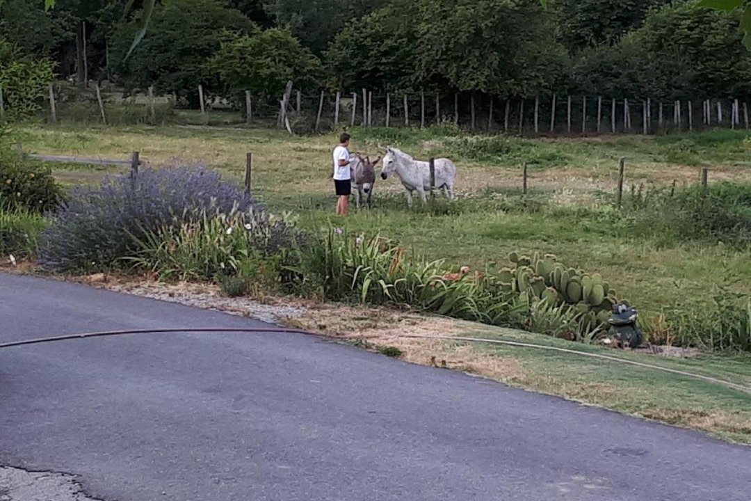 Photo of Others in Chateauneuf-de-Galaure
