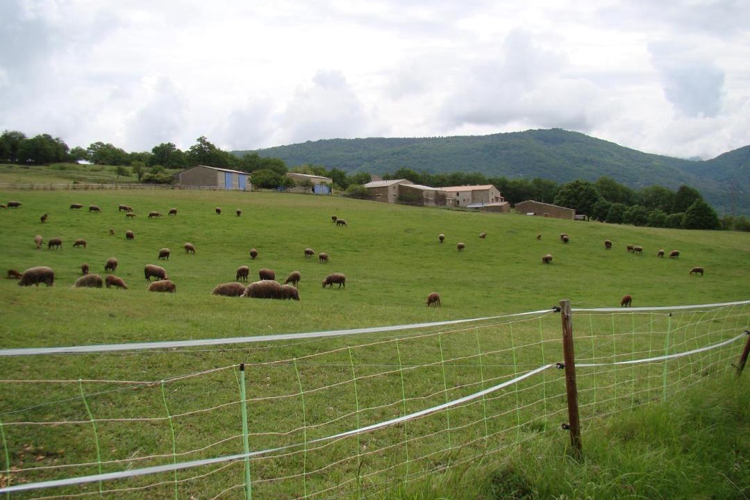 Photo of Outdoor in Vesc