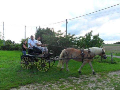 Photo of Others in Romenay