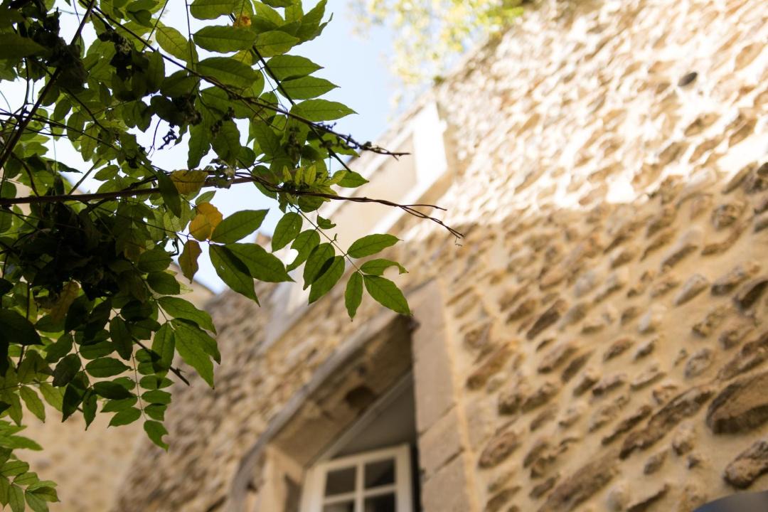 Photo of Others in Visan