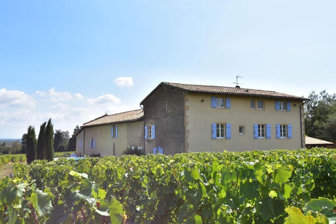 Photo of Buildings in Chaintre
