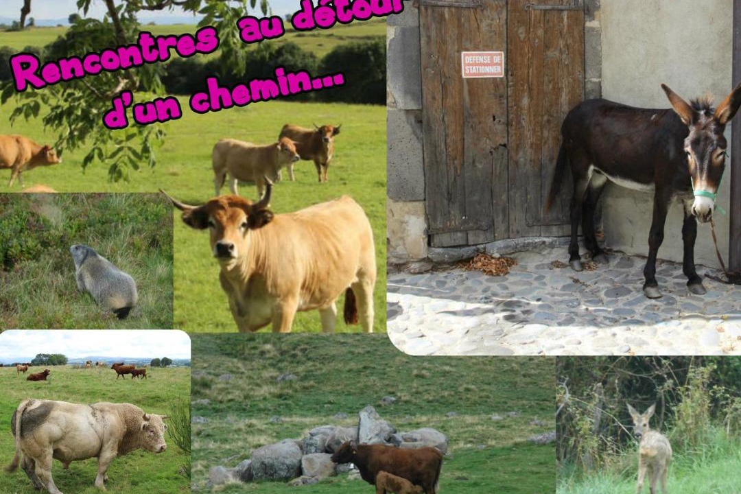 Photo of Others in Tanavelle