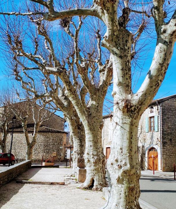 Photo of Others in Villeneuve-de-Berg