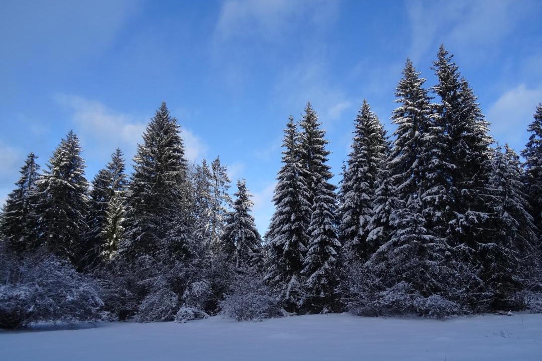 Photo of Others in Malbuisson