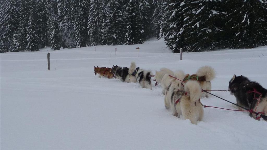 Photo of Others in Chaux-Neuve