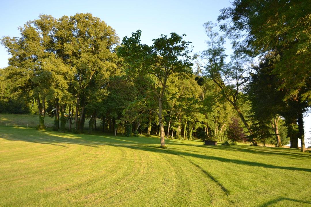Photo of Others in Saint-Jean-aux-Amognes