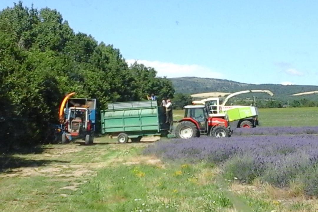 Photo of Others in Le Barroux
