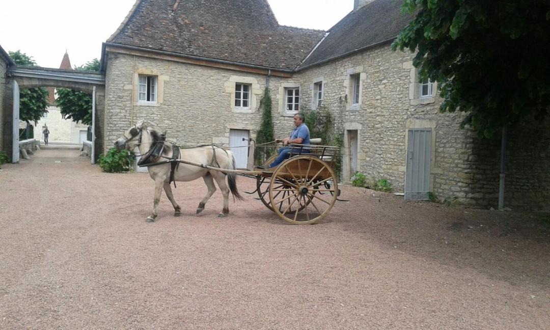 Photo of Others in Ladoix-Serrigny