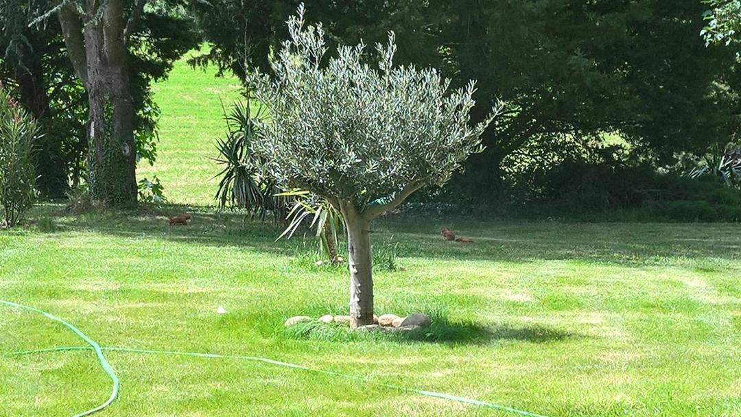 Photo of Outdoor in Beauvallon