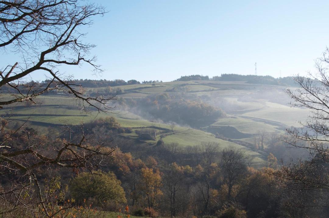 Photo of Others in Saint-Romain-de-Lerps