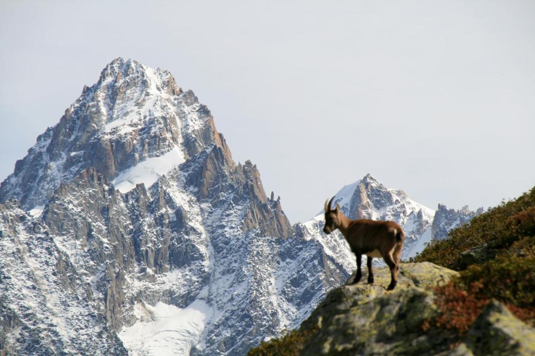Photo of Others in Lullin