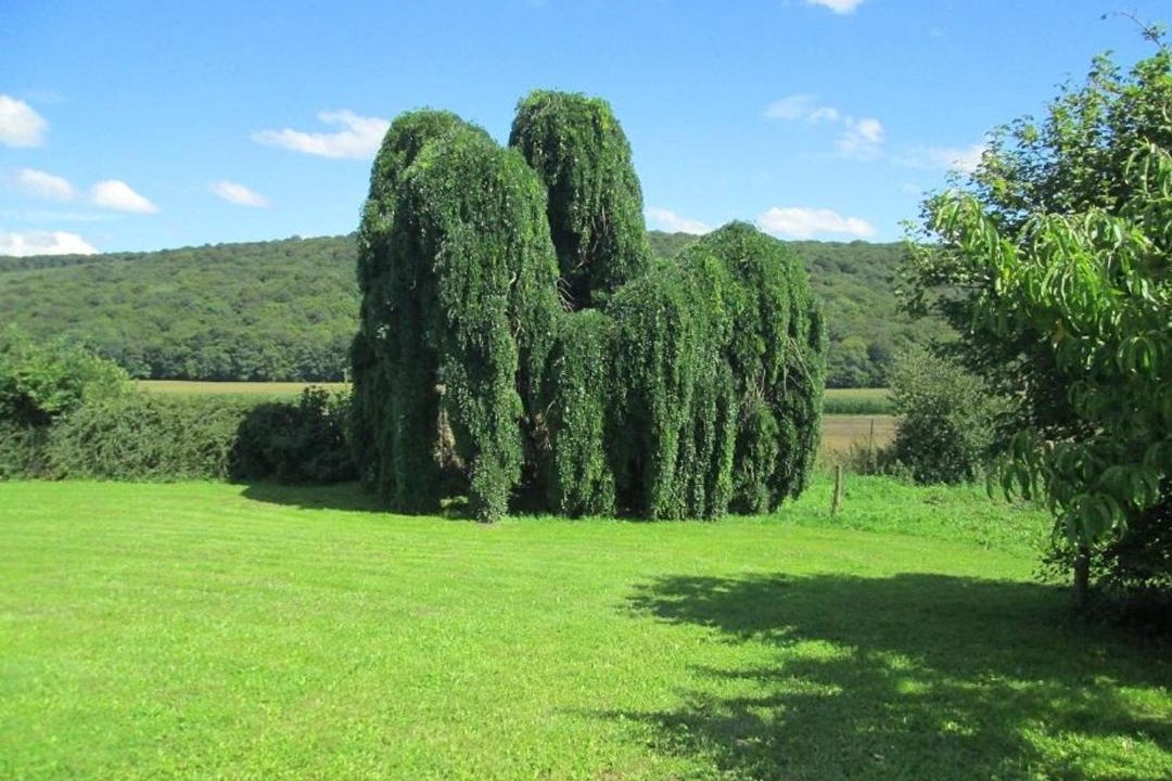 Photo of Others in Gezier-et-Fontenelay