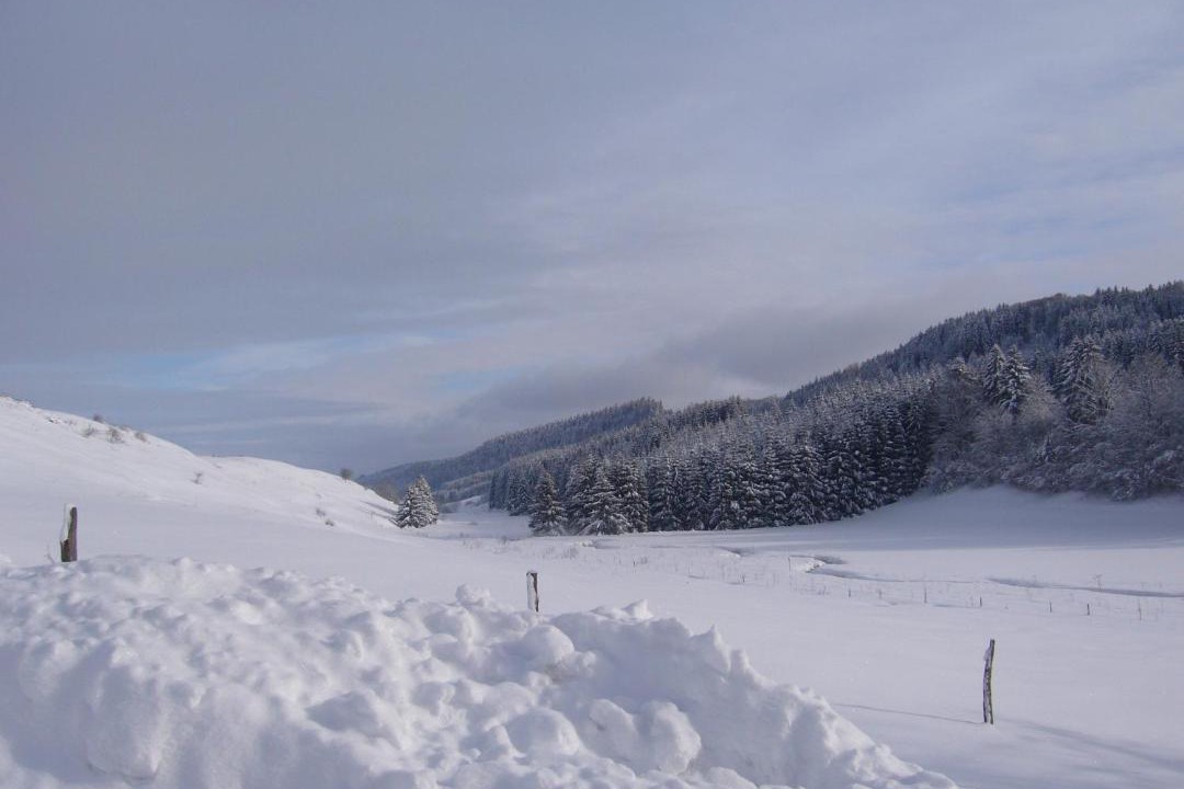 Photo of Others in Chaux-Neuve