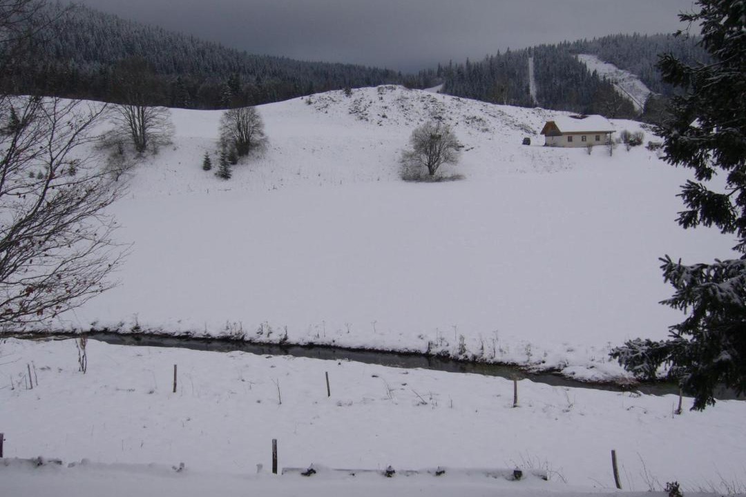 Photo of Others in Chaux-Neuve