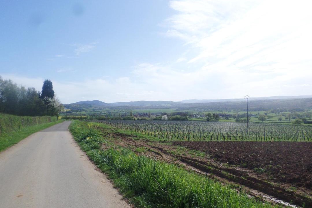 Photo of Others in La Chapelle-sous-Brancion