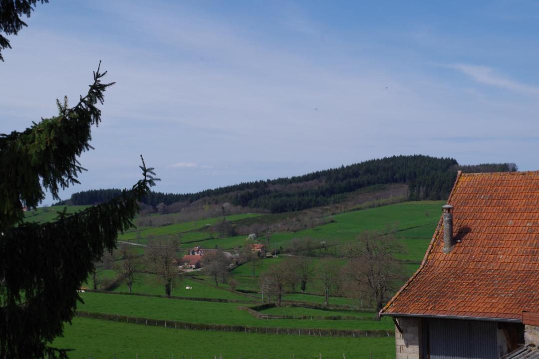 Photo of Others in Suin