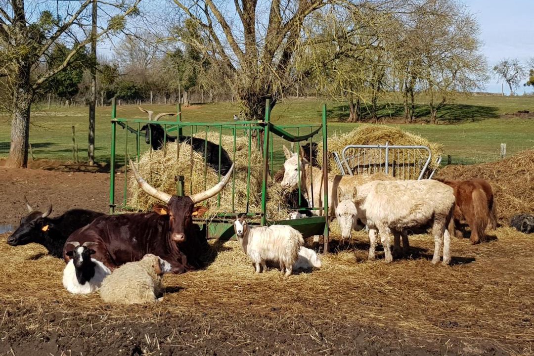 Photo of Others in Sainte-Colombe-des-Bois