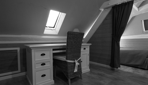 Room (Silene)