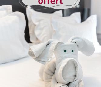 Superior Double Room with Wellness Access