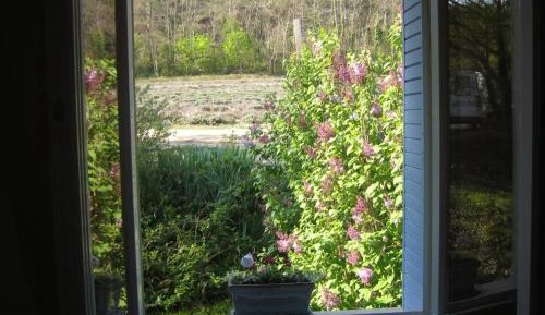 Two-Bedroom Deluxe Apartment with Garden View