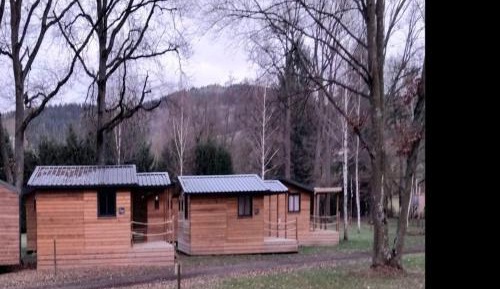 Mobile Home