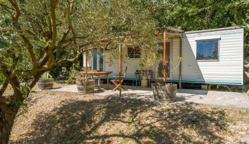 Mobile Home