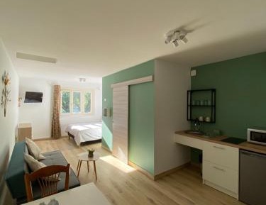 Studio Apartment