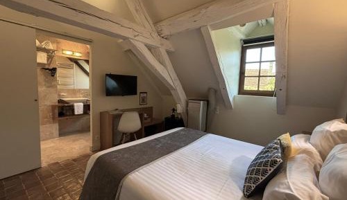 Double Room 201 49 ft²