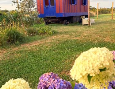 Family Bungalow