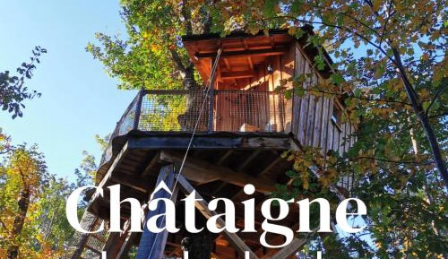 One-Bedroom Chalet