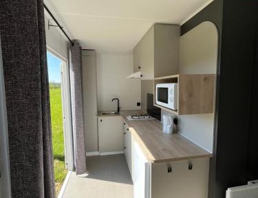 Mobile Home