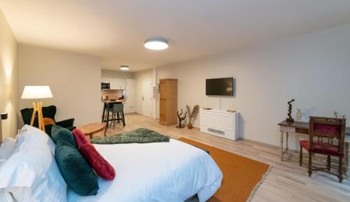 Superior Apartment