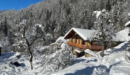 Three-Bedroom Chalet