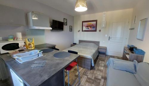 Studio Apartment