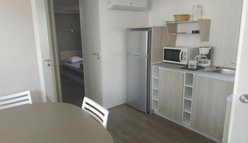 Mobile Home