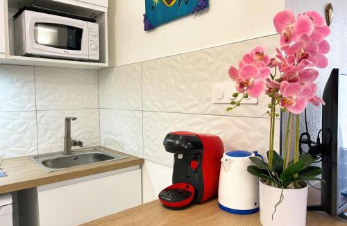 Belfort Apartment | Le Pop Art - Studio near Train Station - 2 people