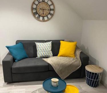 Saint-Nicolas-de-Port Apartment | f2 50m2 atypique en souplex vue basilique