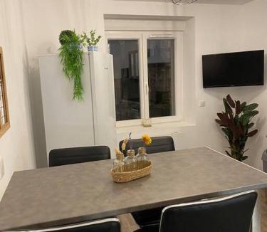 Saint-Nicolas-de-Port Apartment | f2 50m2 atypique en souplex vue basilique