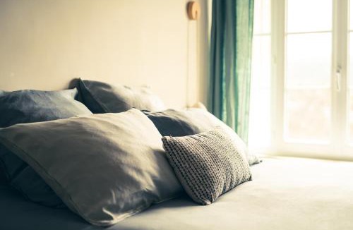 Sault House | Maison Léonard du Ventoux - B&B avec jardin