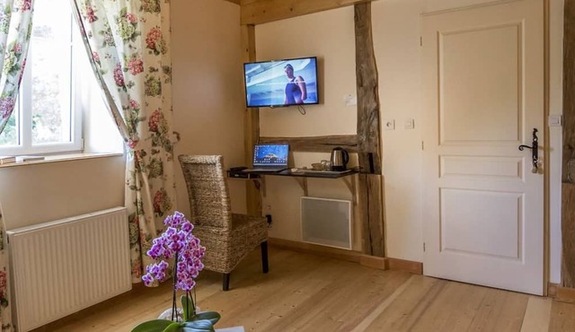 Spring Room with Park and Nature Activities