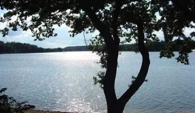 Domaine les Nids du Lac* - POD 2 Rooms 2 People with private Jacuzzi